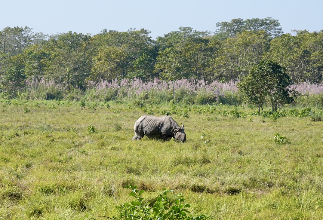 Chitwan National Park